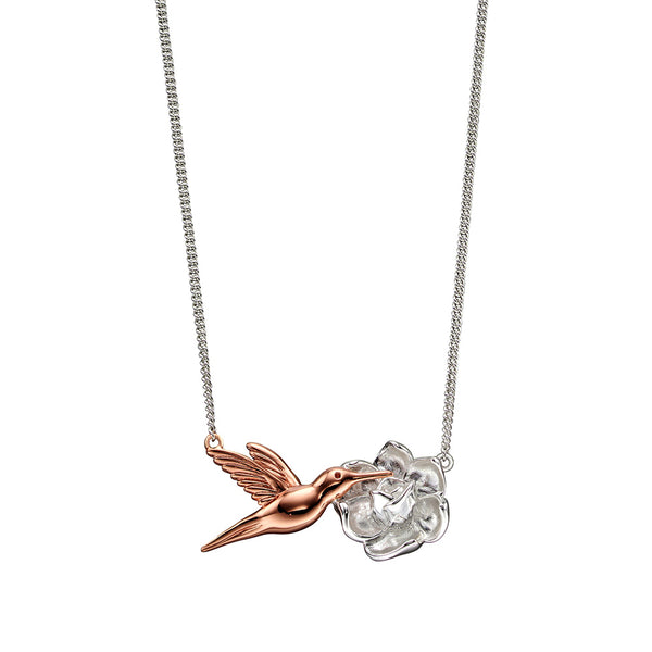 Hummingbird Necklace from the Necklaces collection at Argenteus Jewellery