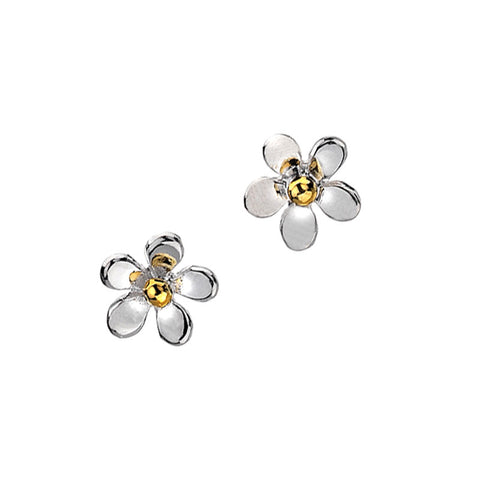 Daisy Stud Silver Earrings from the Earrings collection at Argenteus Jewellery