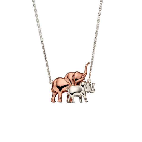 Elephant Necklace from the Necklaces collection at Argenteus Jewellery