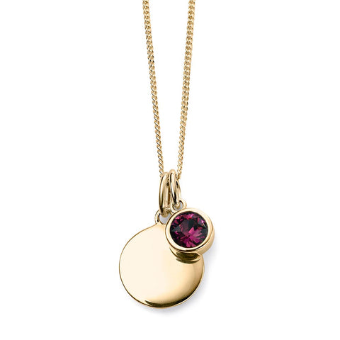 Birthstone-February Amethyst Necklace Gold Plate