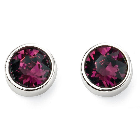 Birthstone Earrings-February Amethyst from the Earrings collection at Argenteus Jewellery